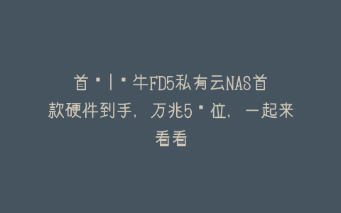 首发|飞牛FD5私有云NAS首款硬件到手，万兆5盘位，一起来看看